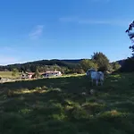 Le Moulin De La Fortie 3* Viscomtat