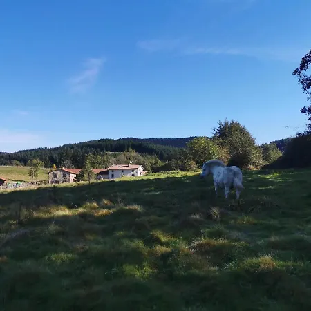 Le Moulin De La Fortie 3* Viscomtat