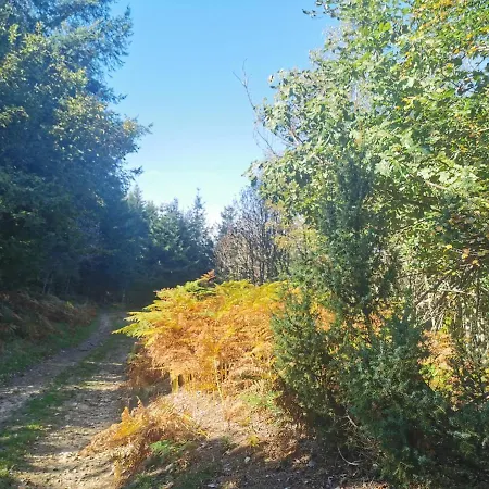 Le Moulin De La Fortie, Bed & Breakfast Viscomtat