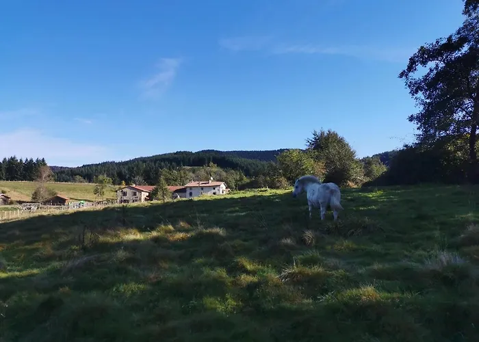 Le Moulin De La Fortie, 3* Viscomtat