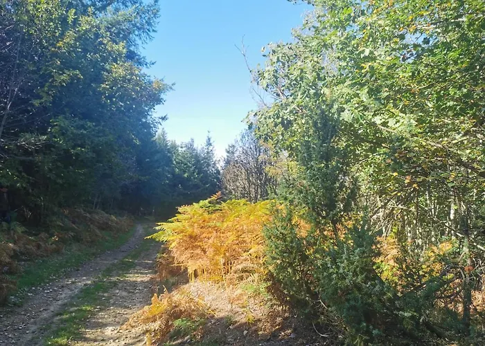 Le Moulin De La Fortie, Nocleg ze śniadaniem Viscomtat
