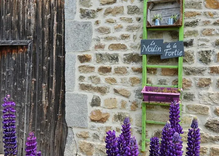 Le Moulin De La Fortie, 3*