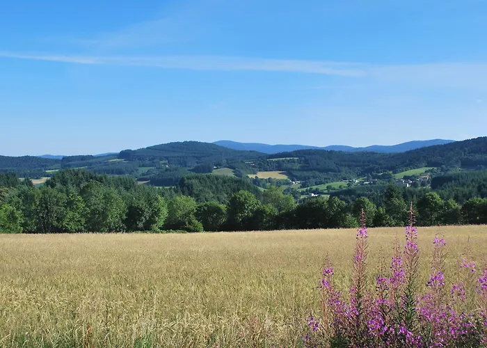 Le Moulin De La Fortie, Viscomtat